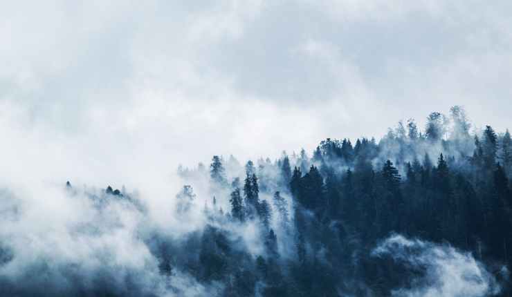 When God Says “It is&nbsp;Good”